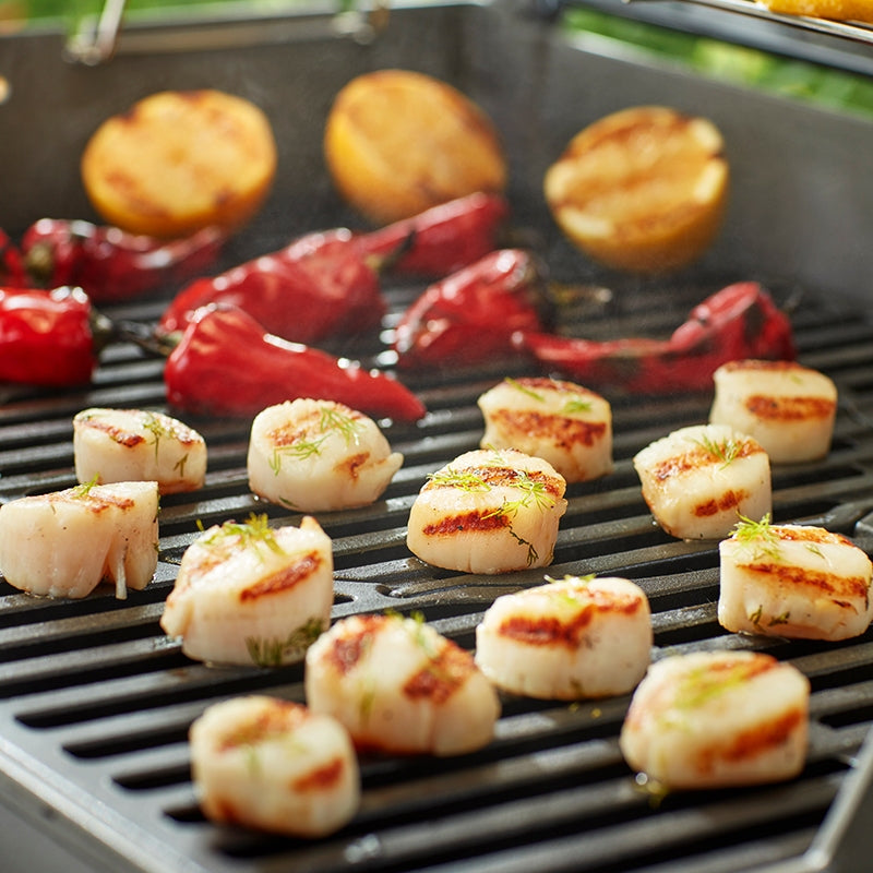 GBS grate Genesis - series, cast iron