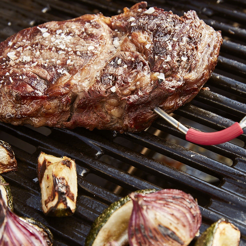 WEBER iGrill Pro Meat Probe