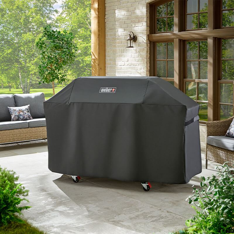 Premium κάλυμμα για νέα Genesis 400