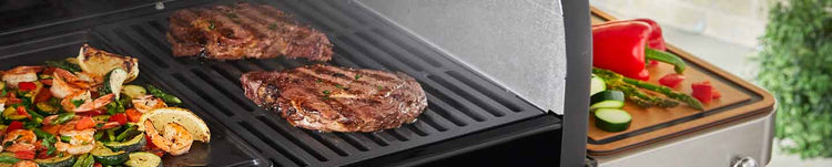 Ανταλλακτικά Ψησταριών Ξύλου Pellet