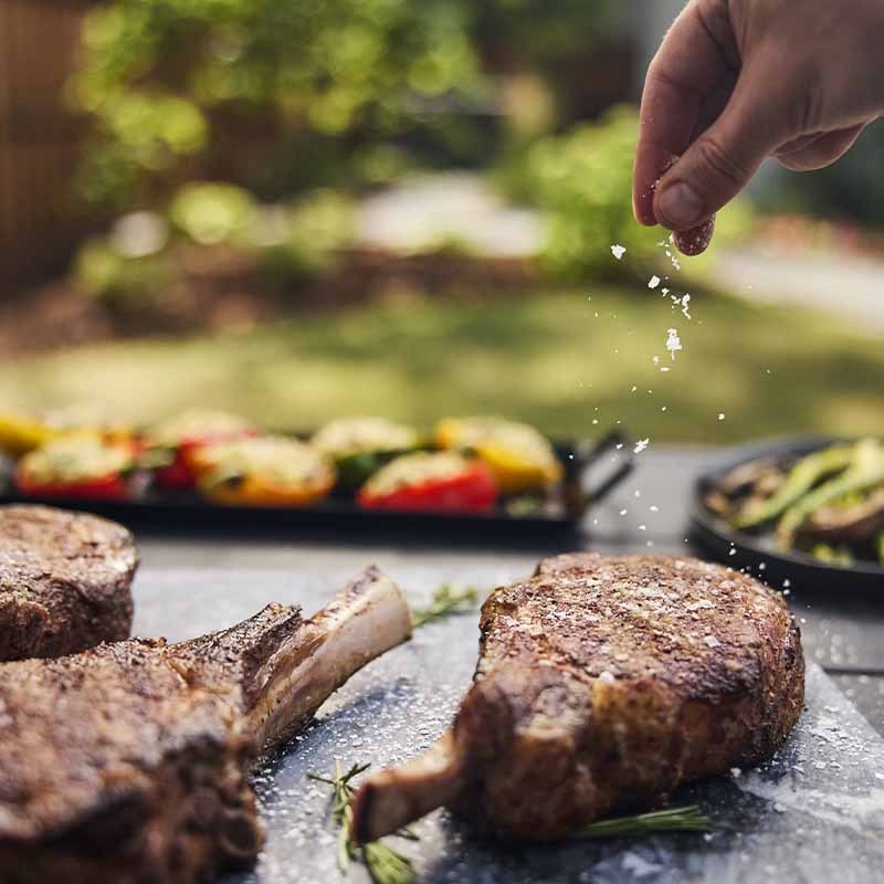 Ψησταριά Υγραερίου Weber® Spirit SP-435