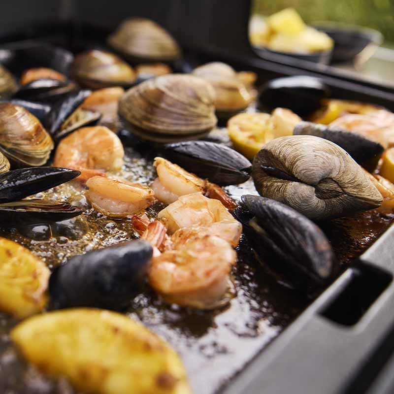 Ψησταριά Υγραερίου Weber® Genesis® Ε-415 Weber Works