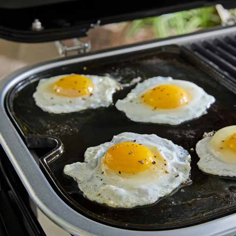 Ηλεκτρική Ψησταριά Weber® Lumin Με Βάση - Black - New