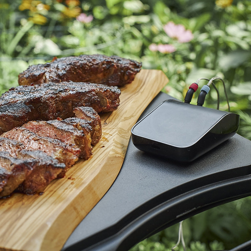 WEBER CONNECT SMART GRILLING HUB