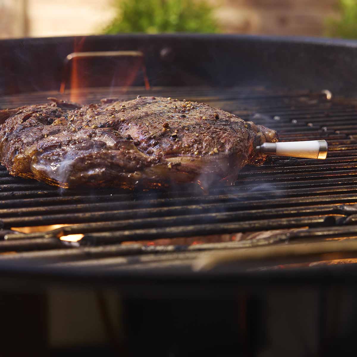 Weber® Smart Wireless Probe Plus με Booster & Φορτιστή