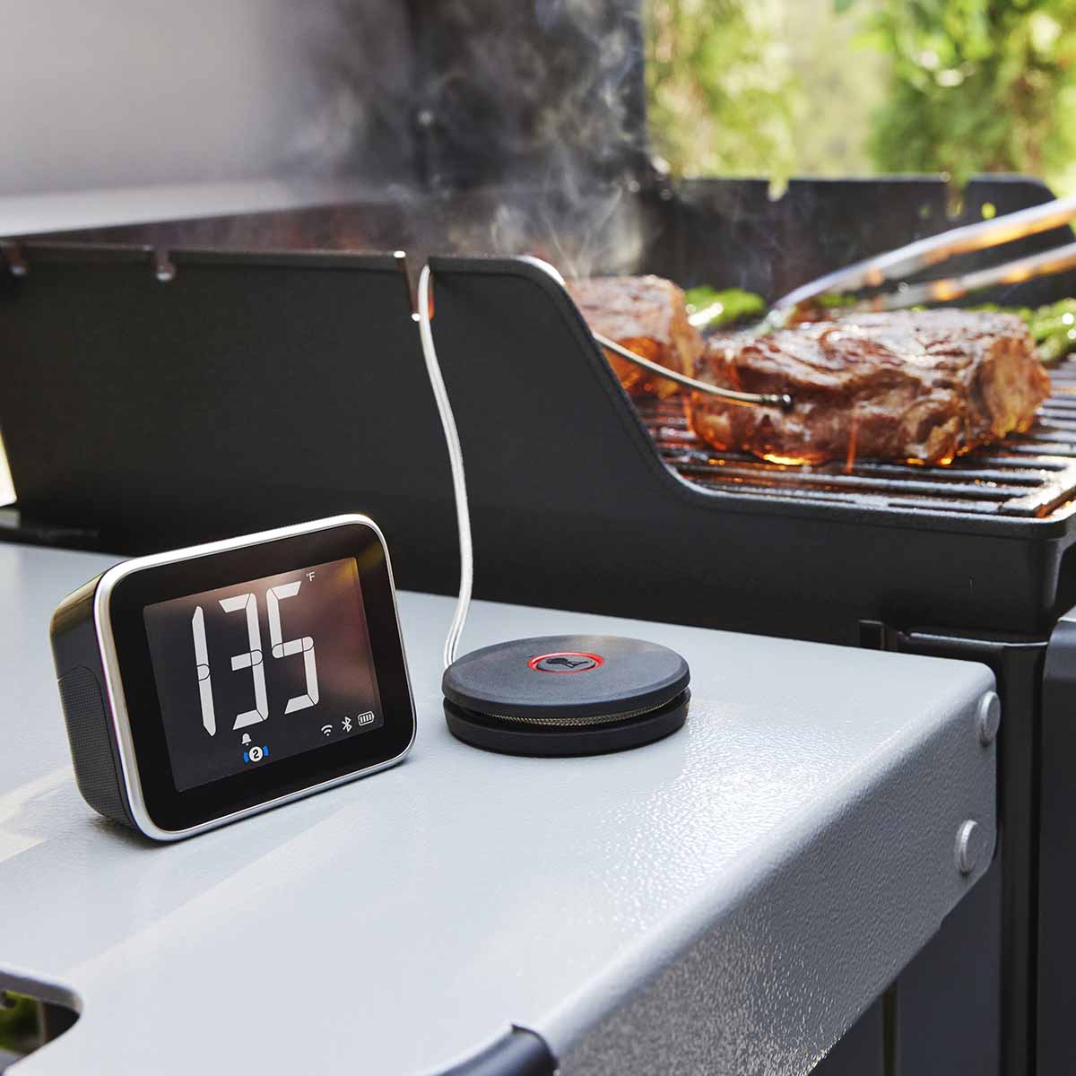 Weber® Smart Probe και Αισθητήρας Σχάρας
