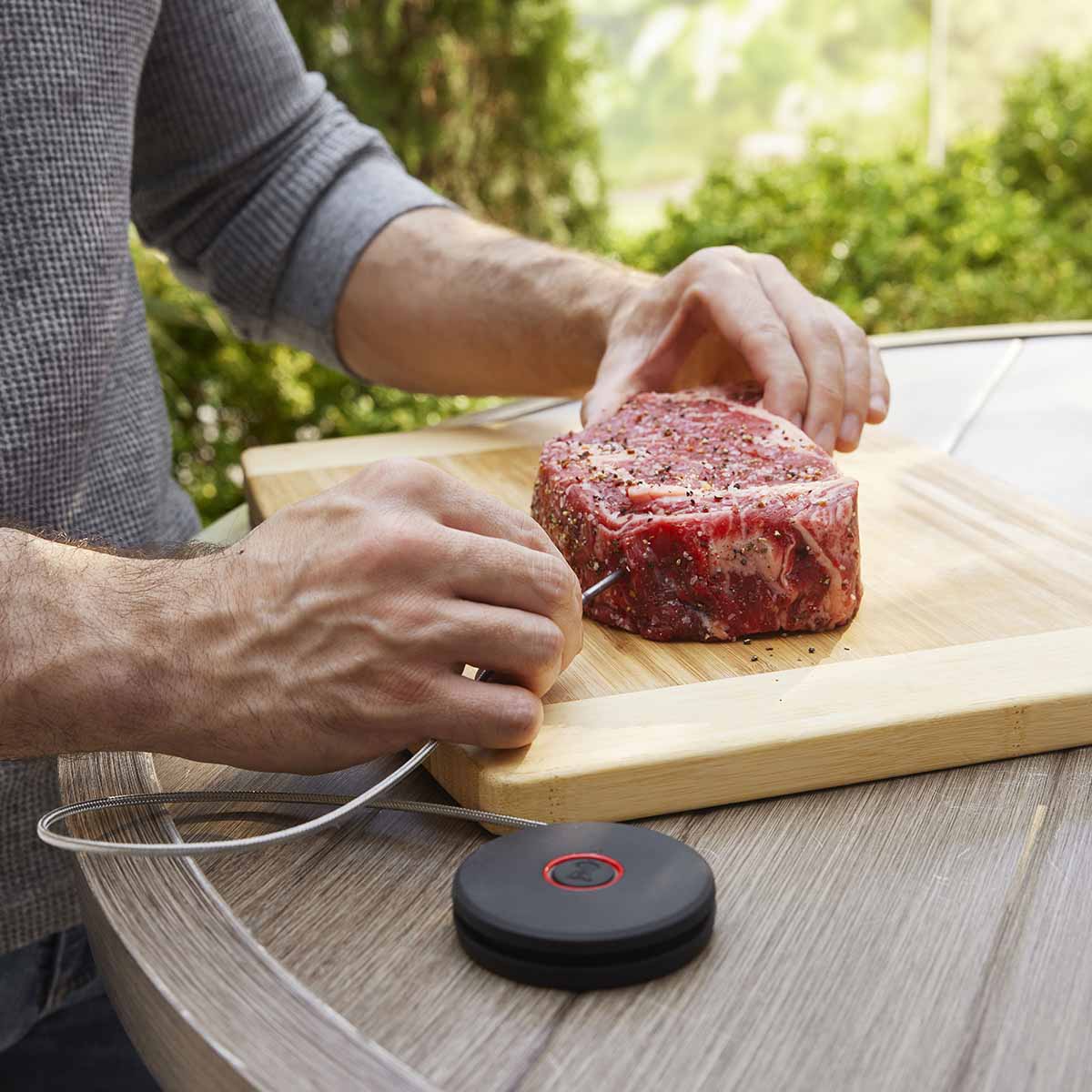 Weber® Smart Probe και Αισθητήρας Σχάρας