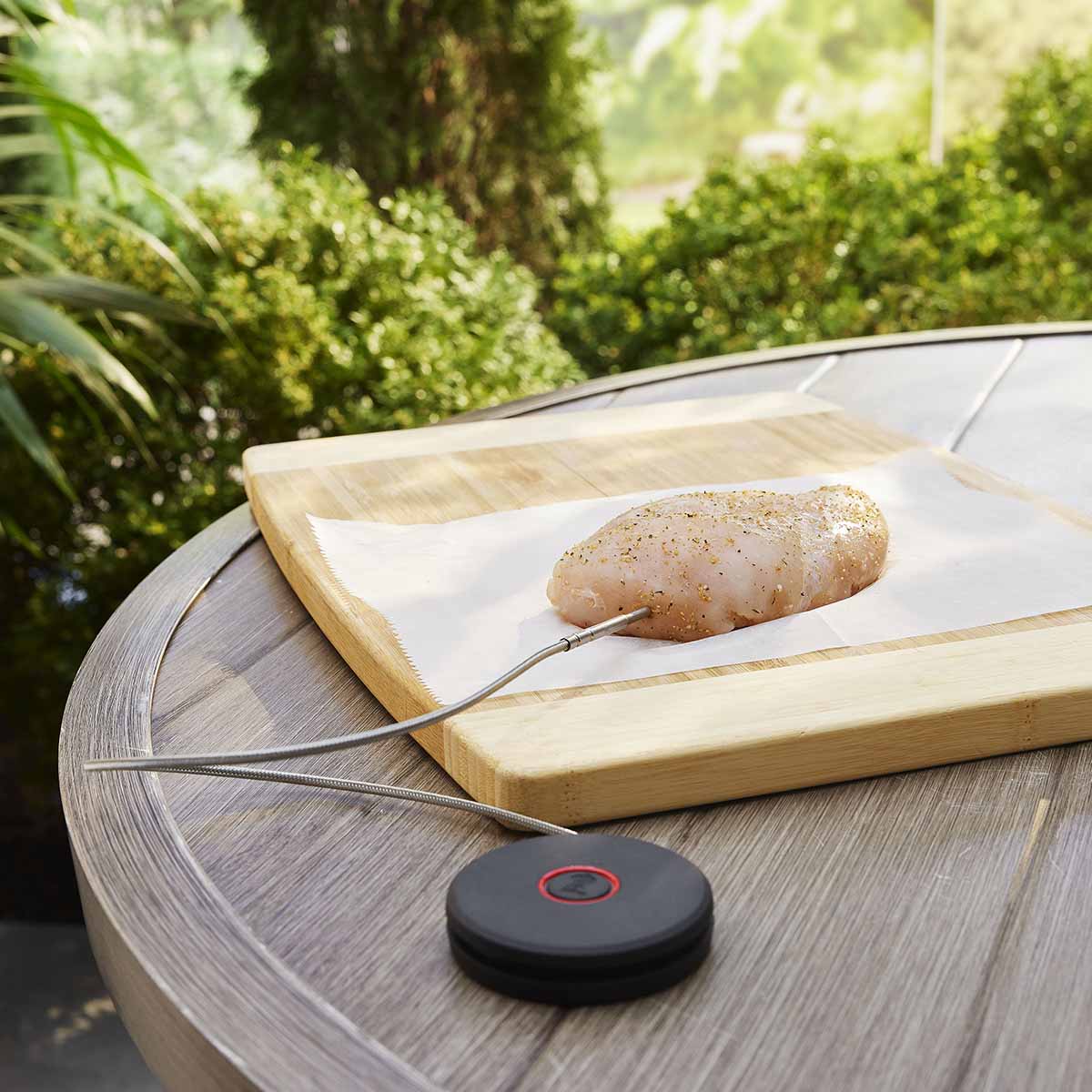 Weber® Smart Probe και Αισθητήρας Σχάρας