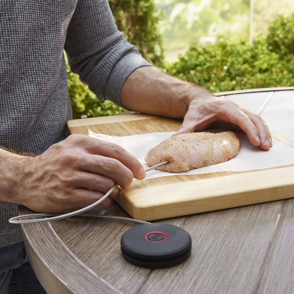 Weber® Smart Probe και Αισθητήρας Σχάρας