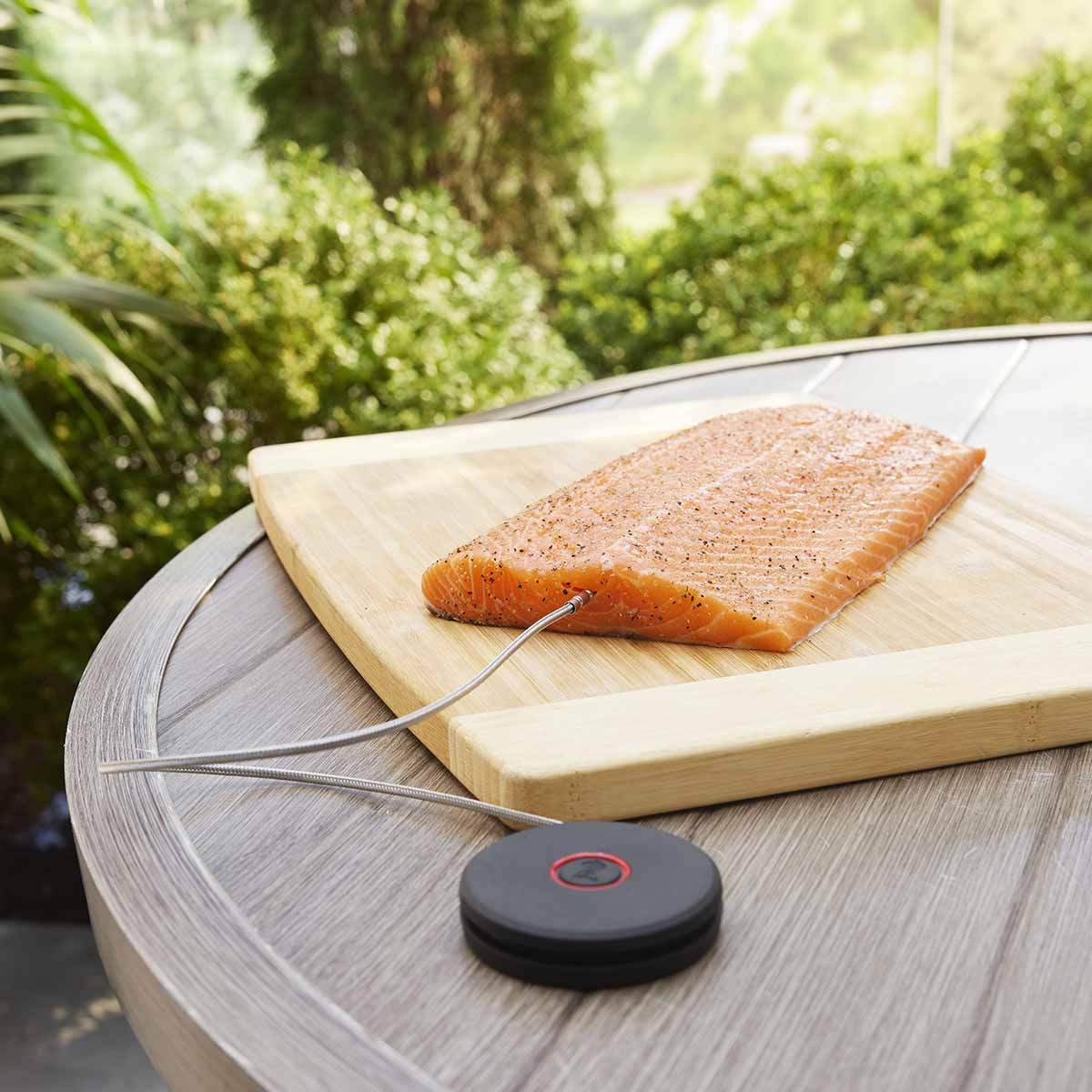 Weber® Smart Probe και Αισθητήρας Σχάρας