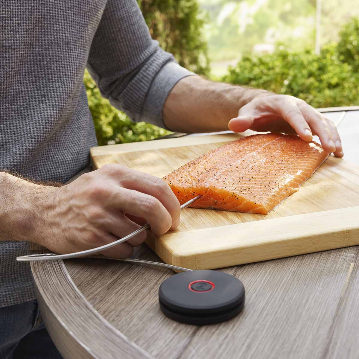 Weber® Smart Probe και Αισθητήρας Σχάρας