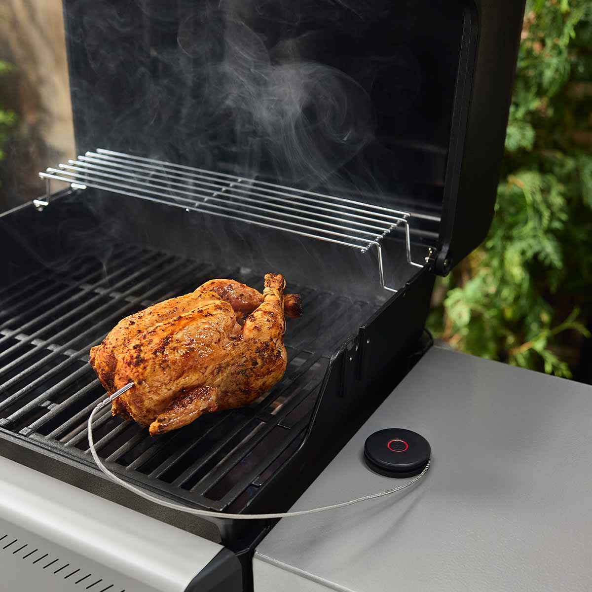 Weber® Smart Probe και Αισθητήρας Σχάρας