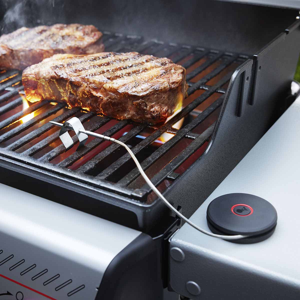 Weber® Smart Probe και Αισθητήρας Σχάρας