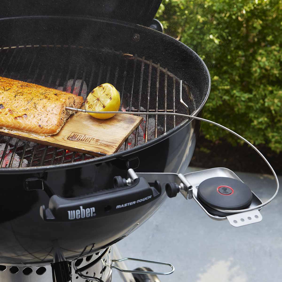 Weber® Smart Probe και Αισθητήρας Σχάρας
