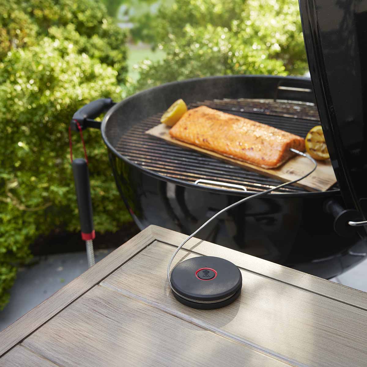 Weber® Smart Probe και Αισθητήρας Σχάρας