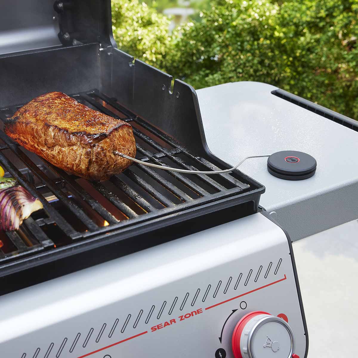 Weber® Smart Probe και Αισθητήρας Σχάρας