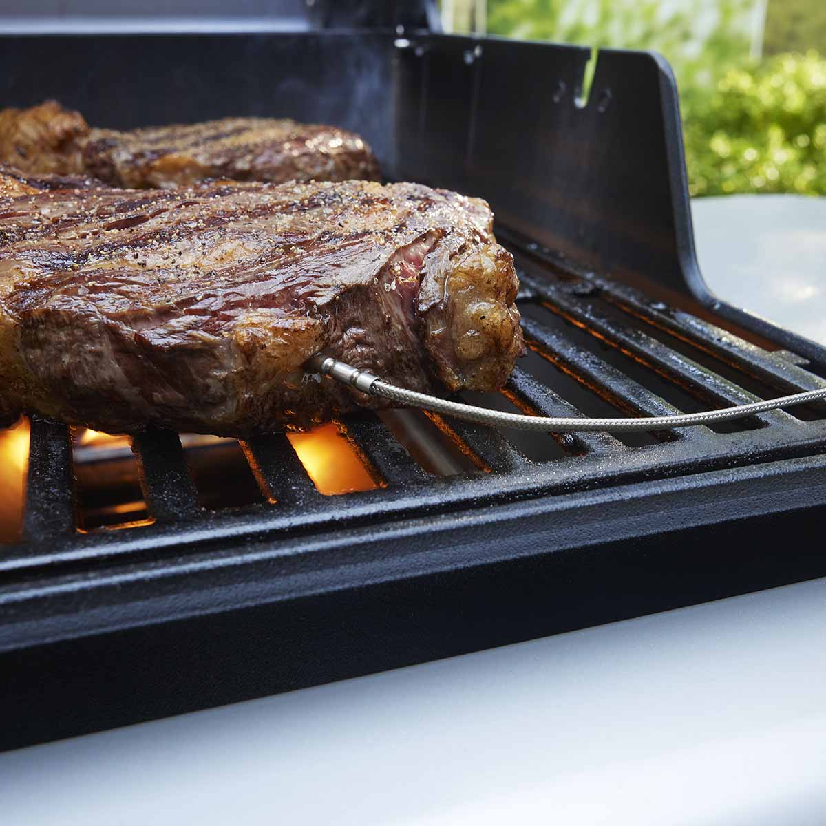 Weber® Smart Probe και Αισθητήρας Σχάρας