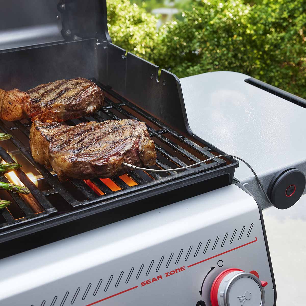 Weber® Smart Probe και Αισθητήρας Σχάρας
