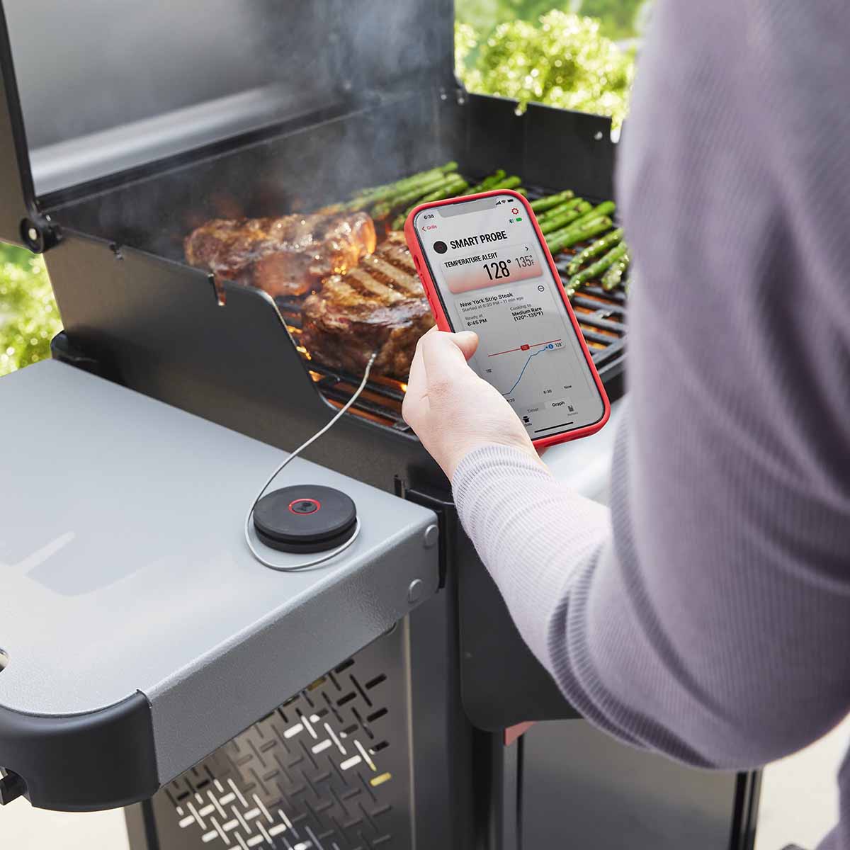 Weber® Smart Probe και Αισθητήρας Σχάρας