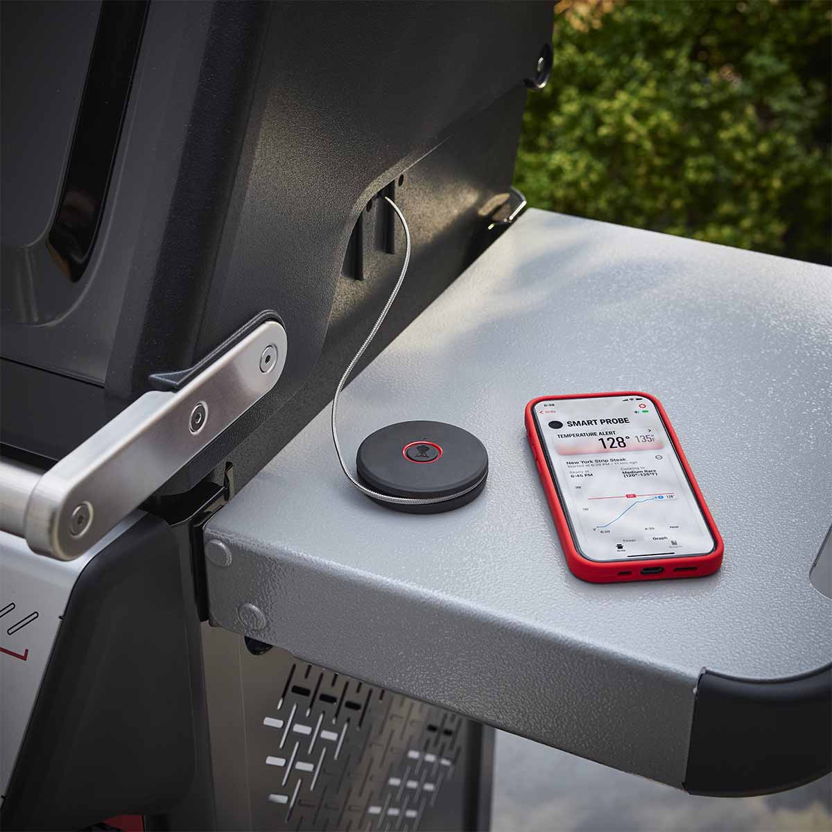 Weber® Smart Probe και Αισθητήρας Σχάρας