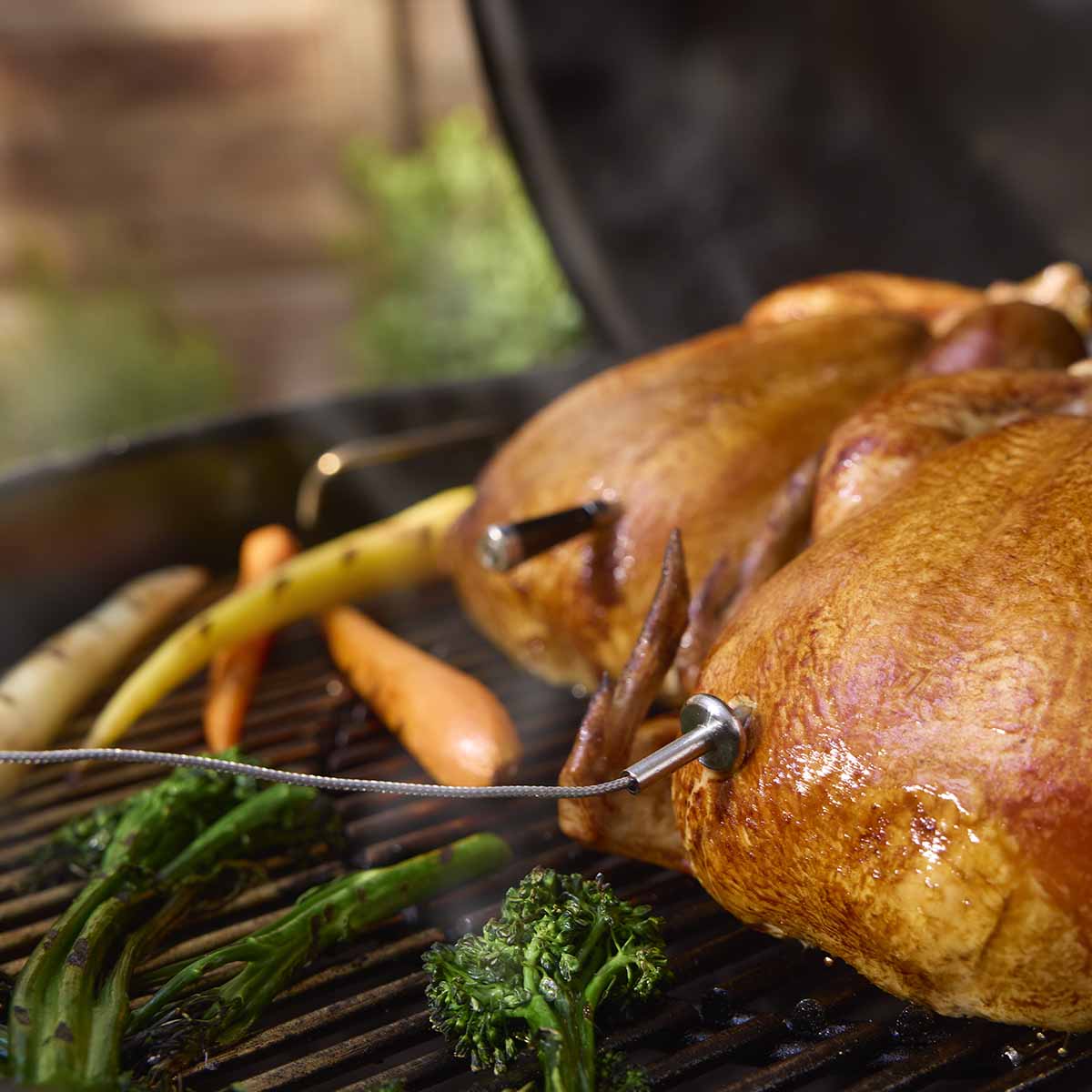 Weber® Smart HUB Display Booster