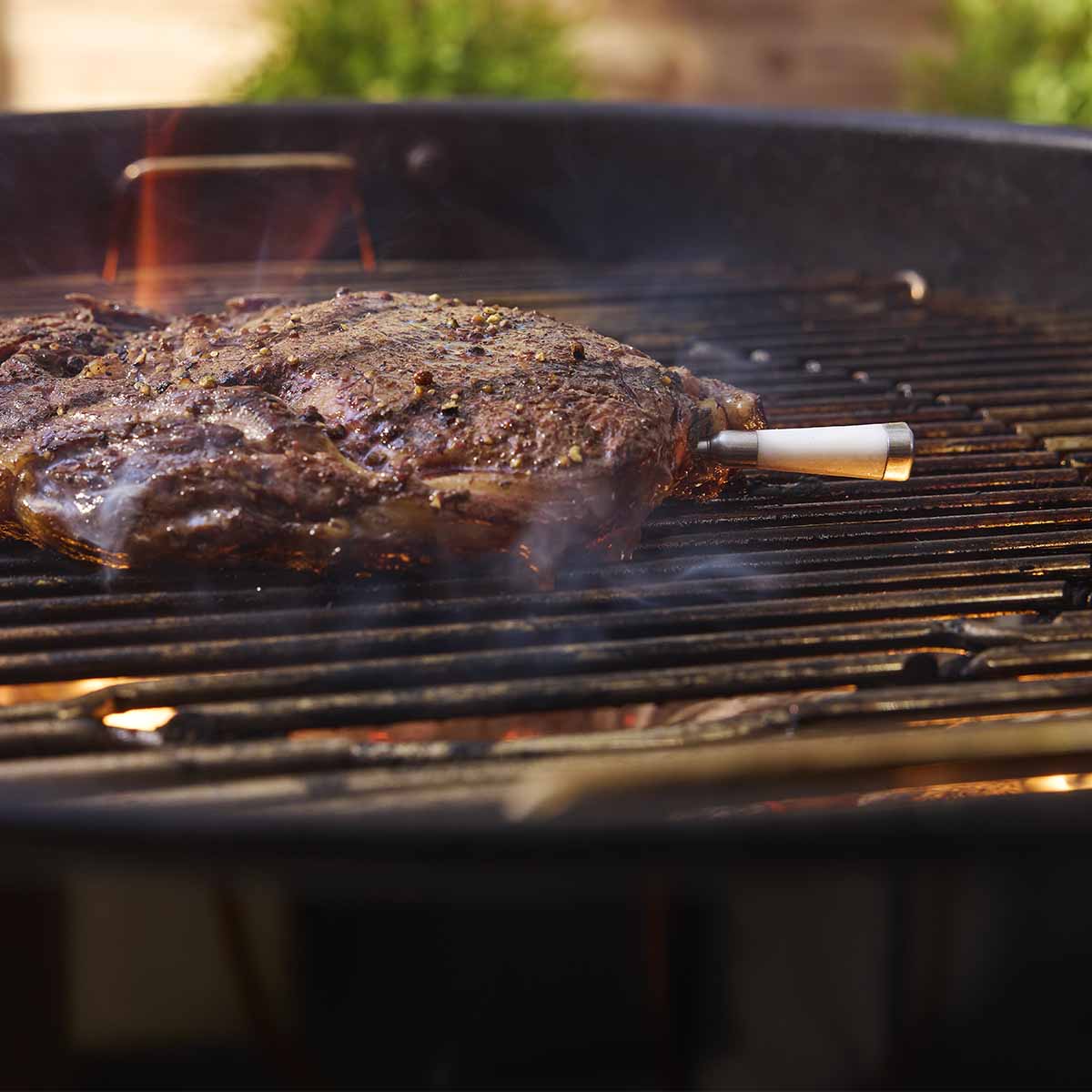 Weber® Smart Wireless Probe με Φορτιστή – Blue