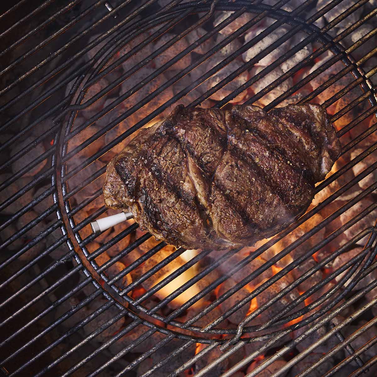 Weber® Smart Wireless Probe με Φορτιστή – Gray