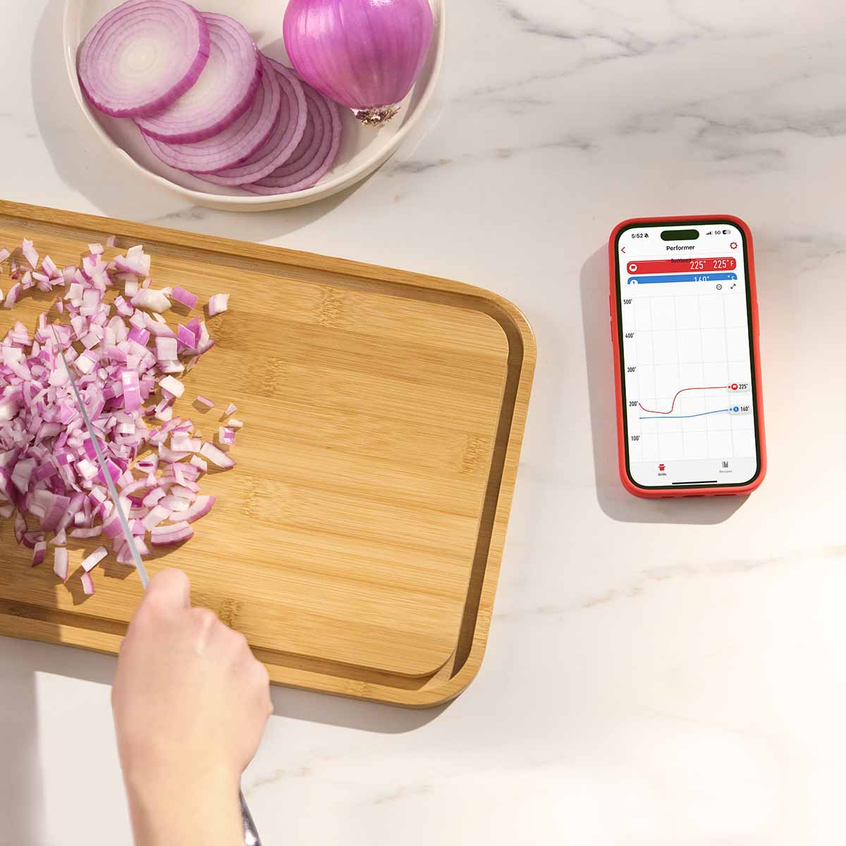 Weber® Smart Wireless Probe με Φορτιστή – Gray