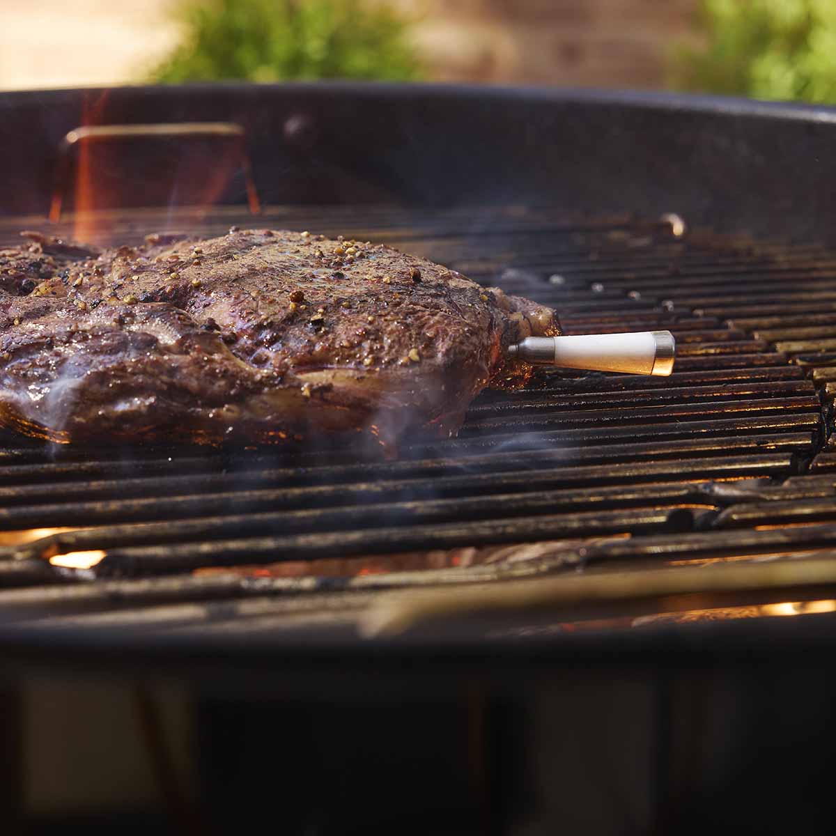 Weber® Smart Wireless Probe με Φορτιστή – Black