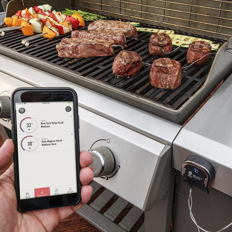 ΘΕΡΜΟΜΕΤΡΟ    weber iGrill-3