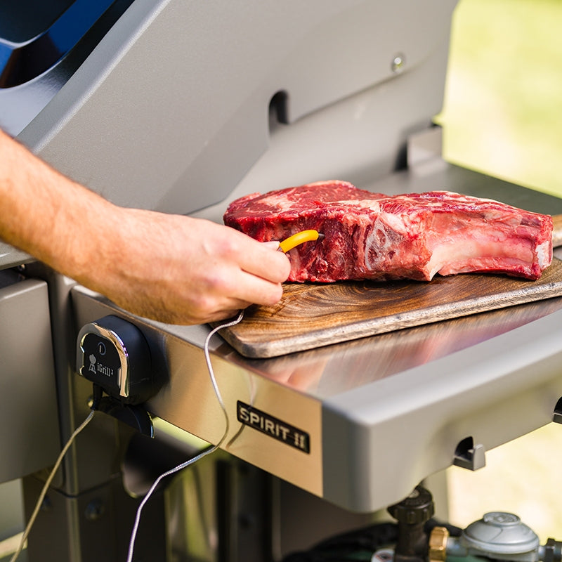 ΘΕΡΜΟΜΕΤΡΟ    weber iGrill-3