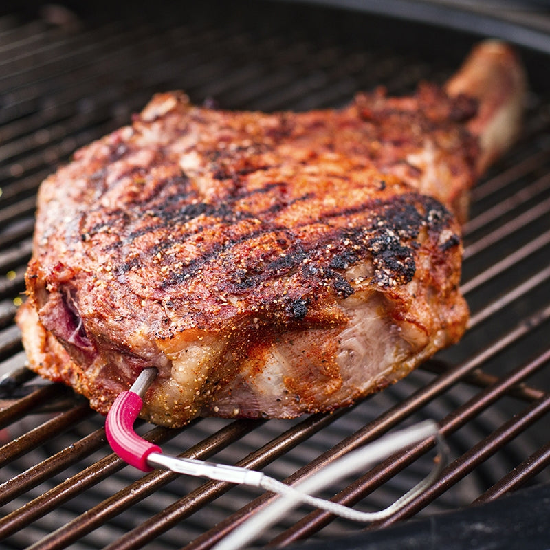 WEBER iGrill  Pro Meat Probe