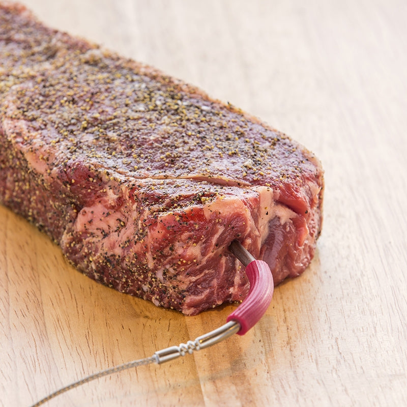 WEBER iGrill  Pro Meat Probe