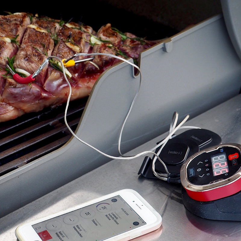 WEBER iGrill  Pro Meat Probe