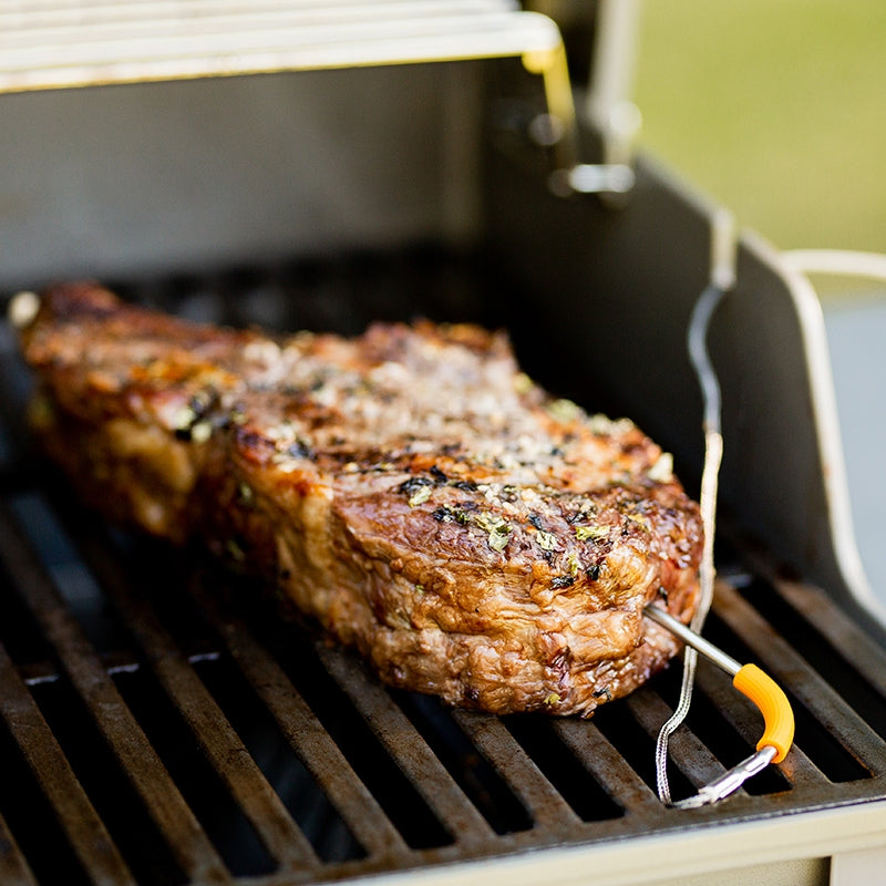 WEBER iGrill  Pro Meat Probe