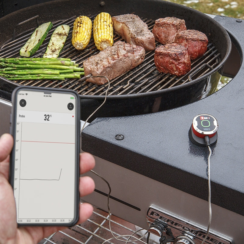 ΘΕΡΜΟΜΕΤΡΟ    weber iGrill-mini