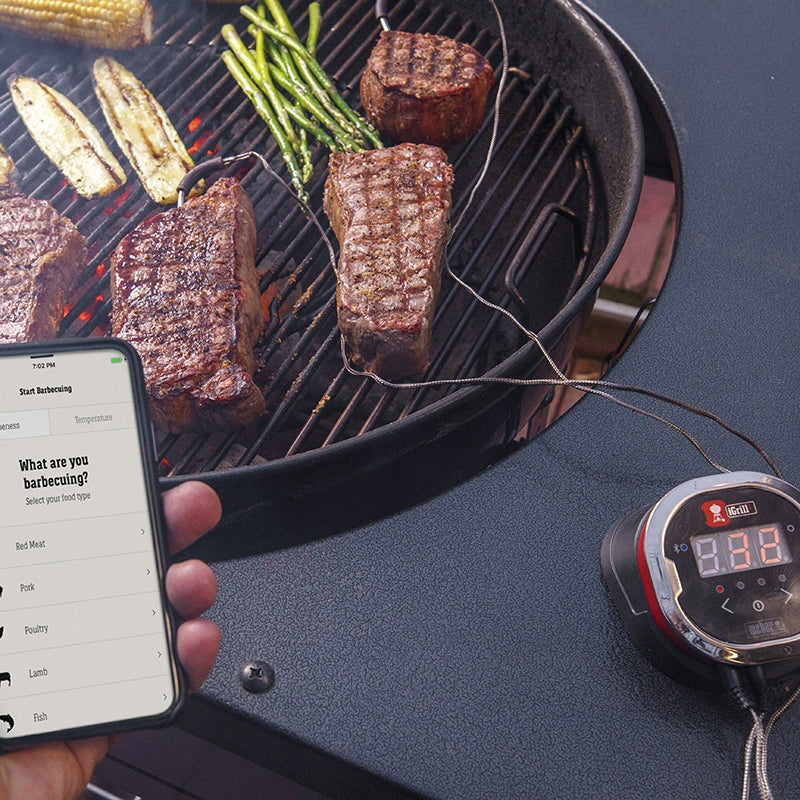 WEBER iGrill 2TM