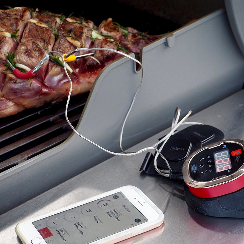 WEBER iGrill 2TM