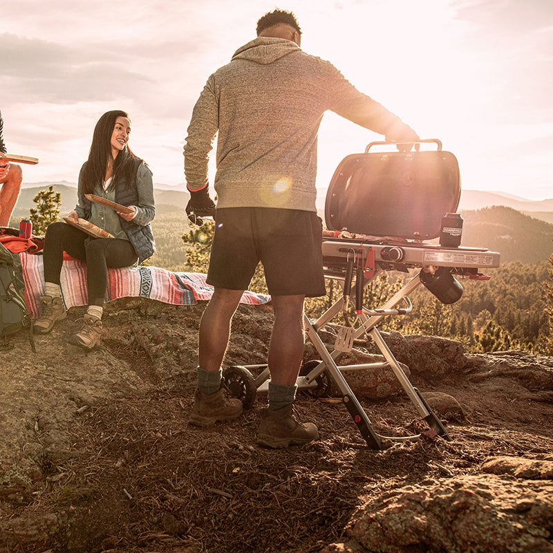 ΨΗΣΤΑΡΙΑ WEBER TRAVELER